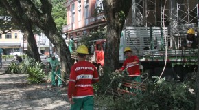 Poda de árvores e retirada de bromélias na Praça D. Pedro