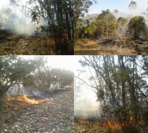 Foto: Mirian Santiago, 12/12 - queimadas no Brejal, Posse.