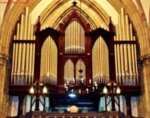 órgão da catedral