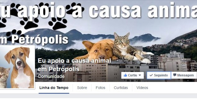 Defensores da causa animal em Petrpolis criam pgina no facebook