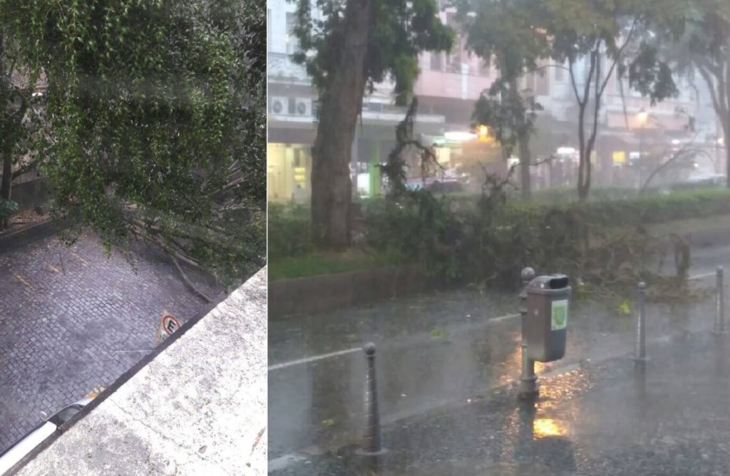 Os ventos fortes derrubaram galhos (Rua do Imperador) e uma árvore (atrás do Shopping Santo Antônio) no Centro. Foto: Renato (esquerda) 