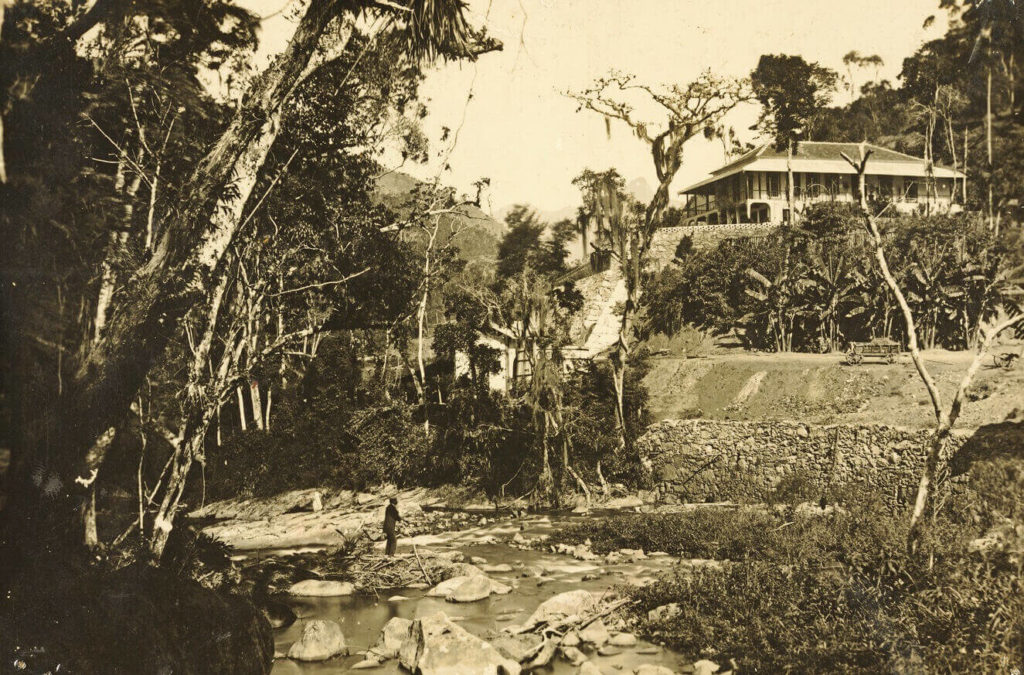 Paisagem na região de Cascatinha, no ano de 1902. Em meio à vegetação, vê-se o rio Piabanha; ao alto, no canto direito, vê-se a casa do gerente da fábrica Companhia Petropolitana de Tecidos.